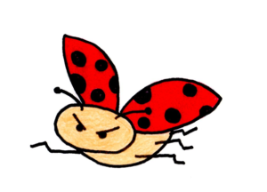 Flying Ladybug